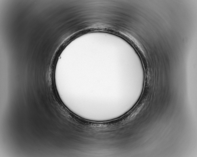 X0000094320783200711301207