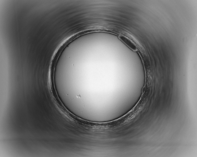 X0000094320788200711301207