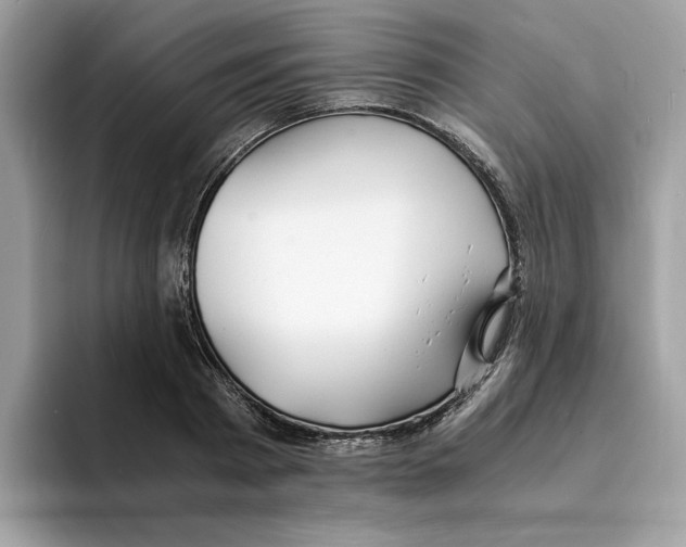 X0000094320793200711301207