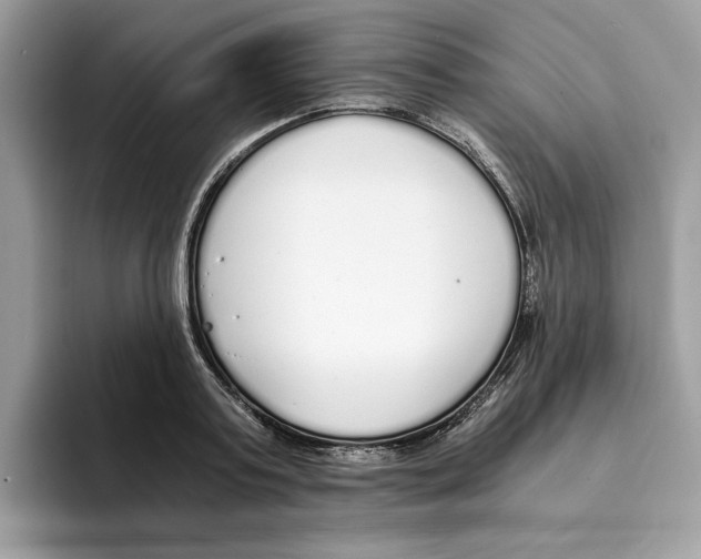 X0000094320795200711301207