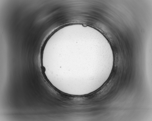 X0000094320796200711301207