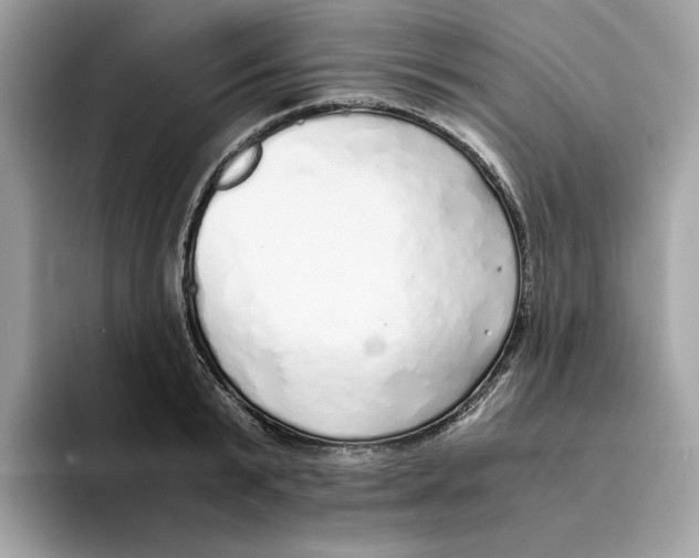 X0000094320799200711301207