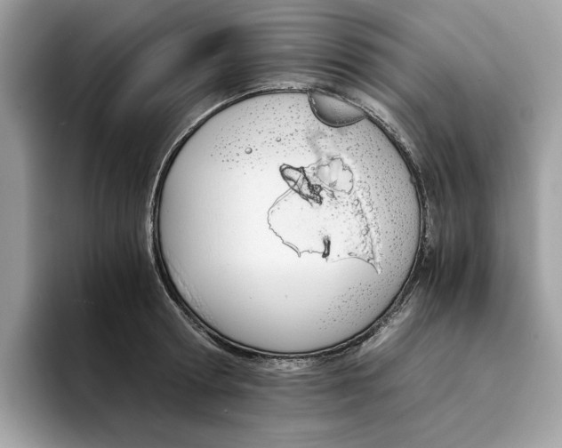 X0000094320802200711301207