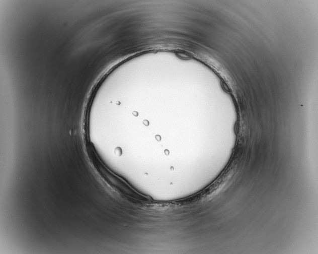 X0000094320803200711301207