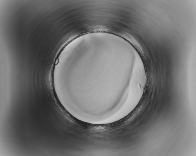 X0000094320806200711301207