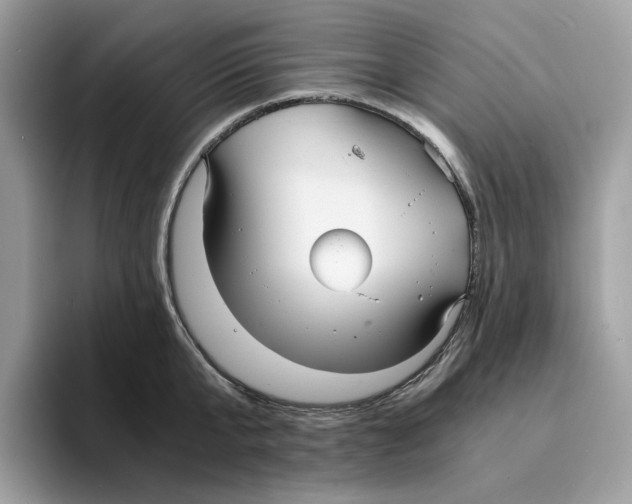 X0000094320807200711301207