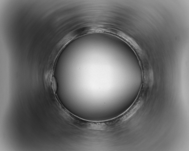 X0000094320809200711301207