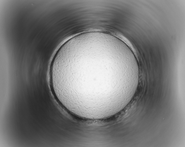 X0000094320811200711301207