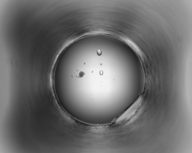 X0000094320813200711301207