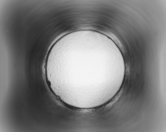 X0000094320814200711301207