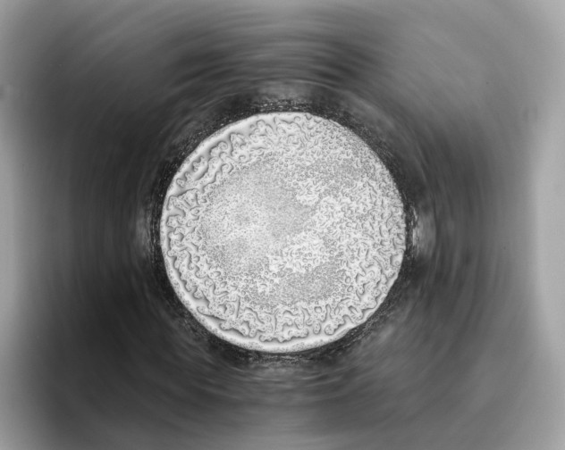 X0000094320819200711301206