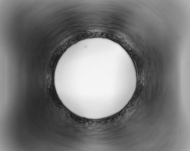 X0000094320821200711301206