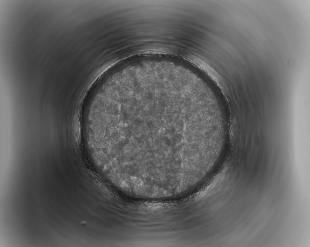 X0000094320829200711301206