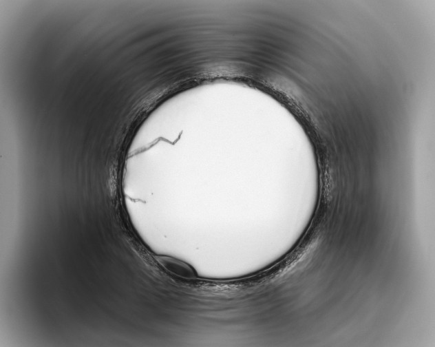 X0000094320833200711301206