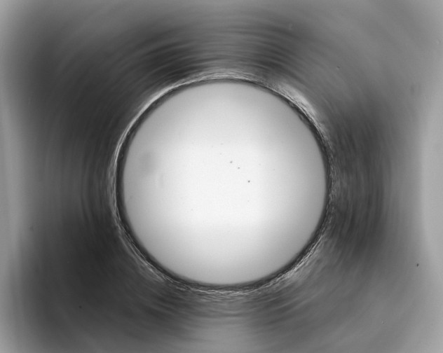 X0000094320836200711301207