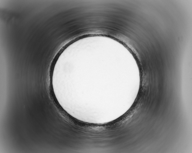 X0000094320837200711301207