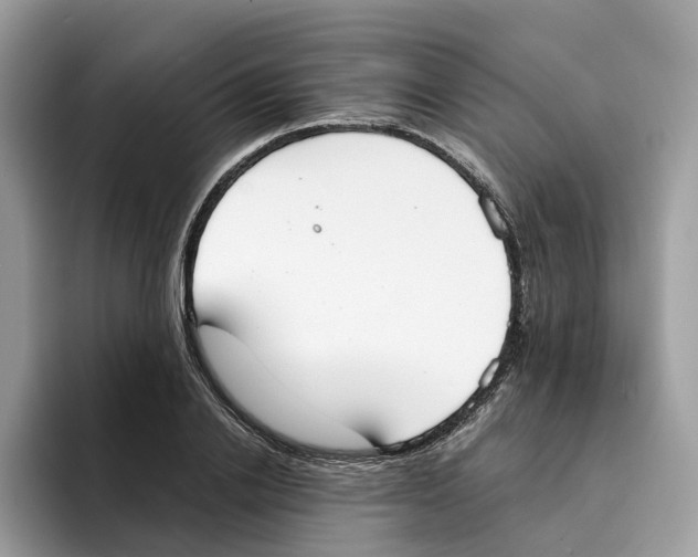 X0000094320838200711301207