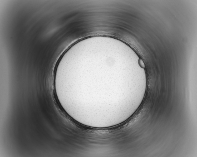 X0000094320844200711301207