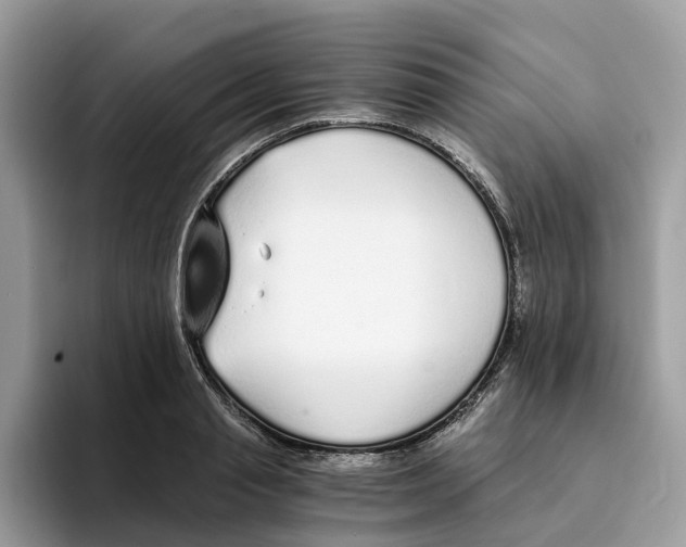 X0000094320845200711301207