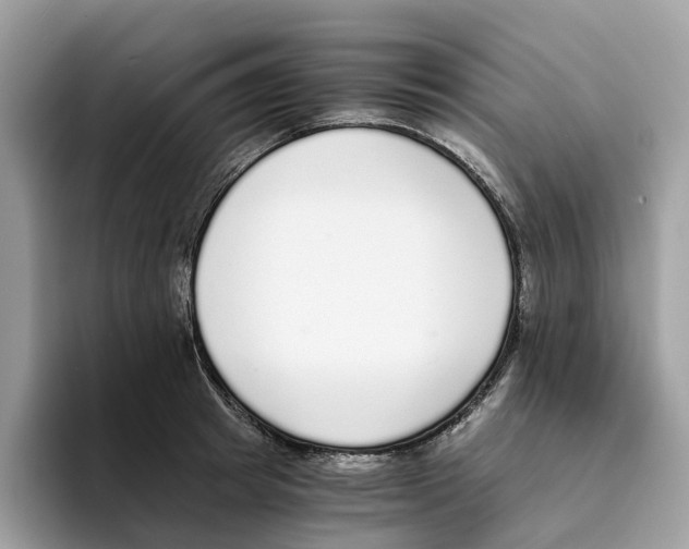 X0000094320849200711301207