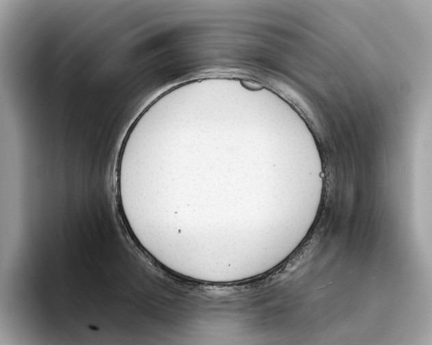 X0000094320852200711301207