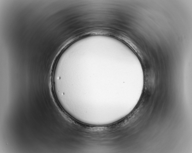 X0000094320853200711301207