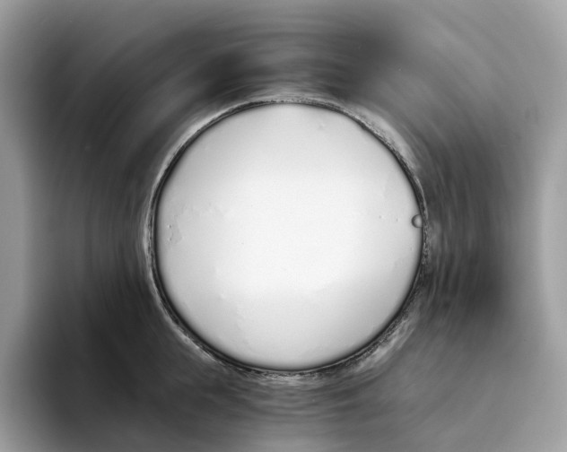 X0000094320855200711301207