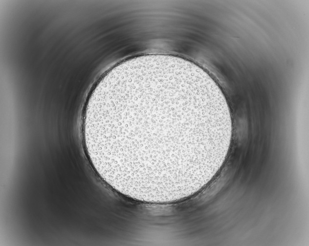 X0000094320856200711301207