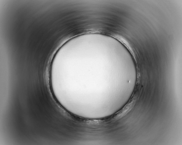 X0000094320859200711301207