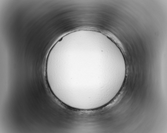 X0000094320860200711301207