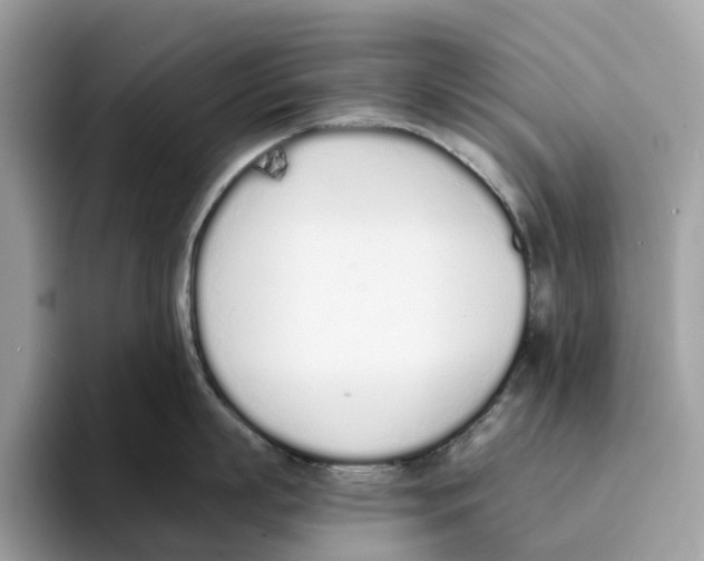 X0000094320863200711301207