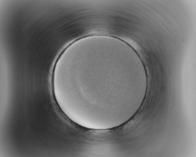 X0000094320864200711301207