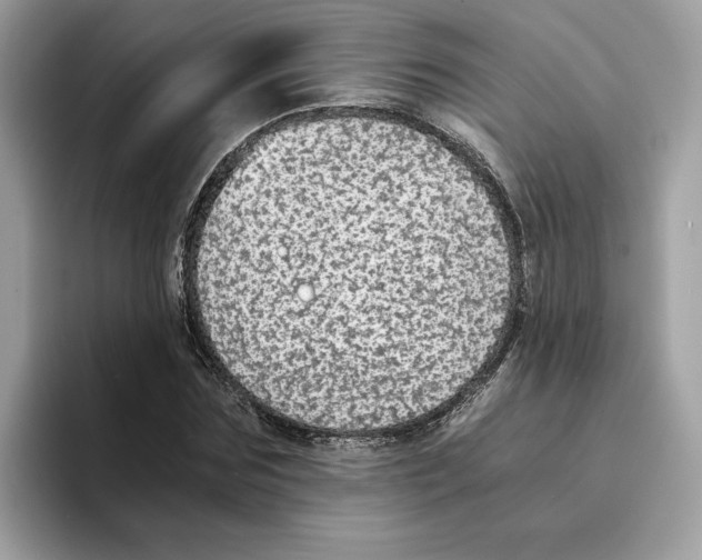 X0000094320875200711301206