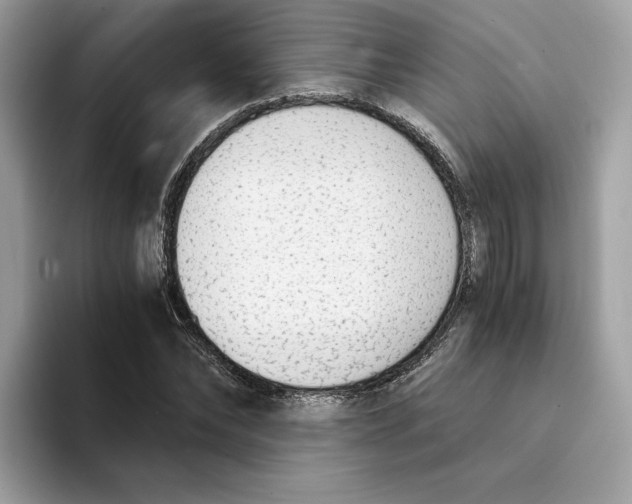 X0000094320878200711301206