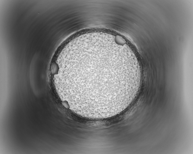 X0000094320879200711301206