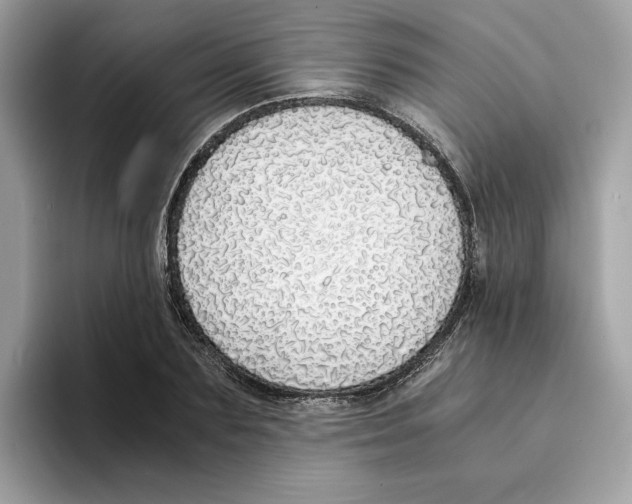 X0000094320883200711301206