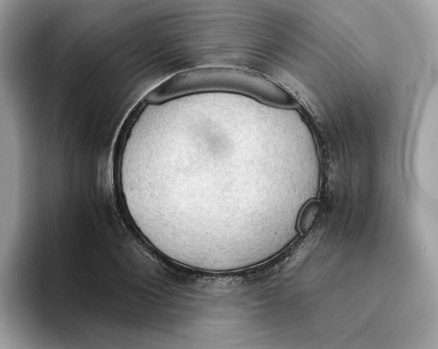 X0000094320884200711301206