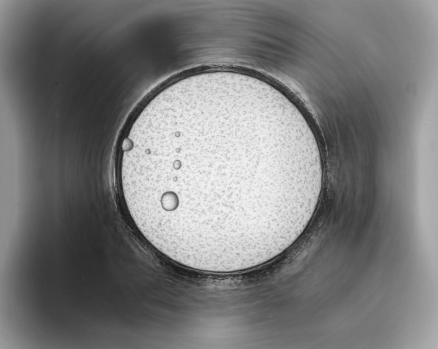 X0000094320887200711301206