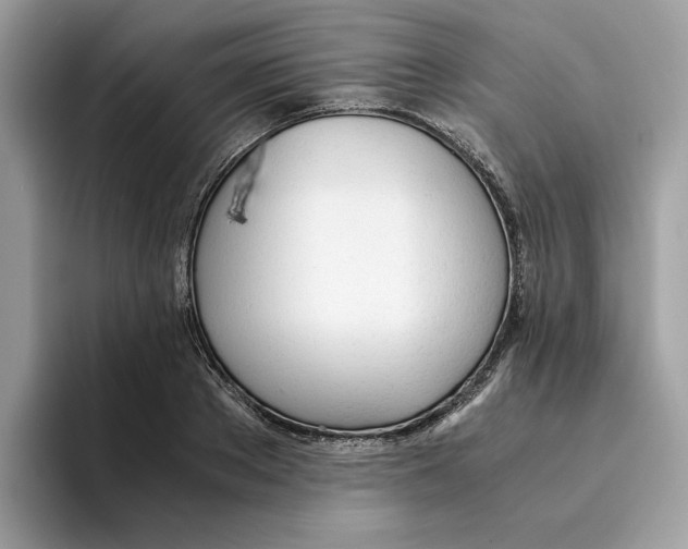 X0000094320889200711301206