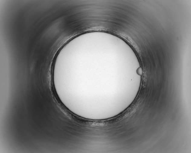 X0000094320890200711301206