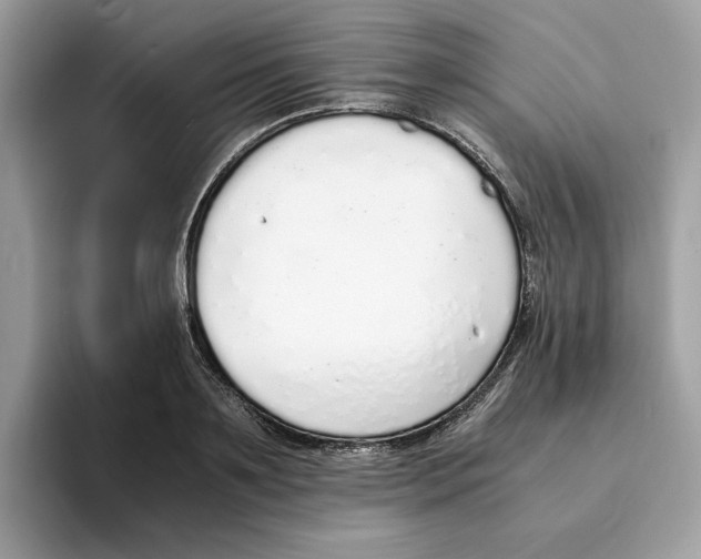 X0000094320891200711301206