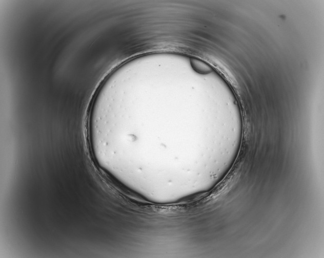 X0000094320899200711301206