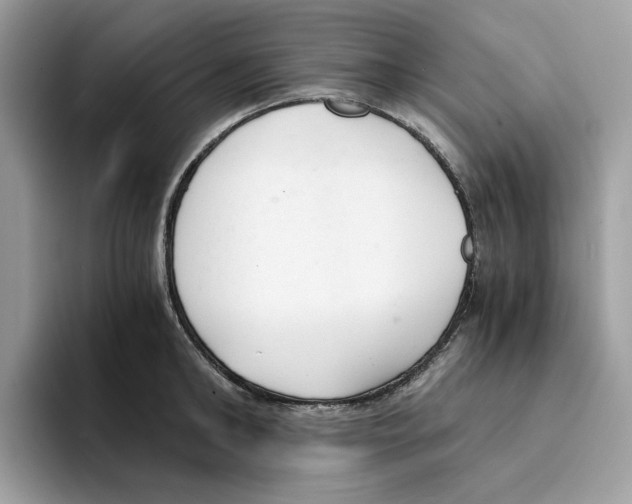 X0000094320902200711301206