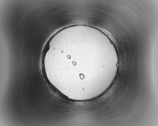 X0000094320904200711301206