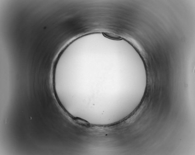 X0000094320910200711301206