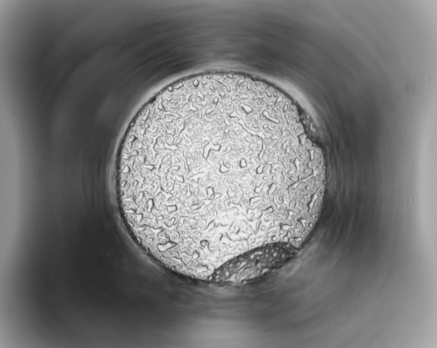 X0000094320911200711301206