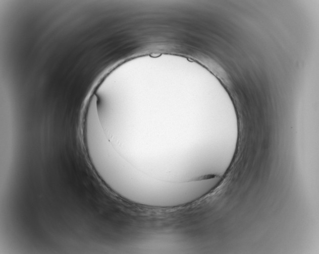 X0000094320912200711301206