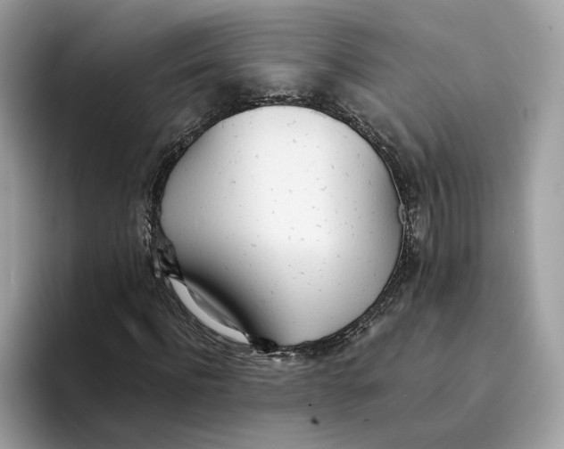X0000094320916200711301205