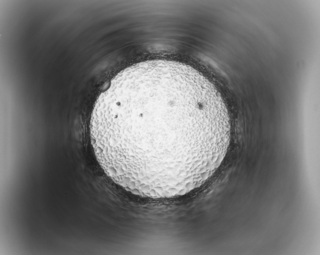 X0000094320917200711301205