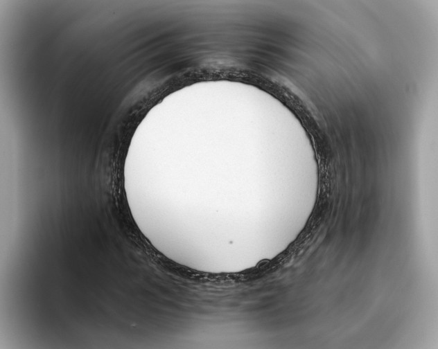 X0000094320919200711301205